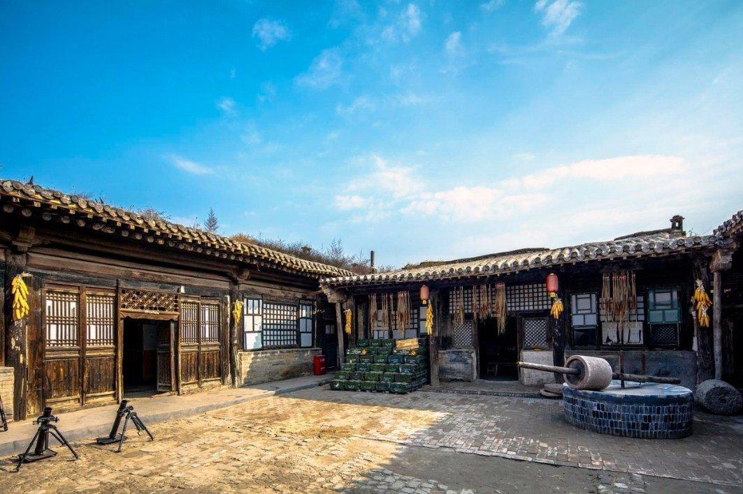 除虫大师